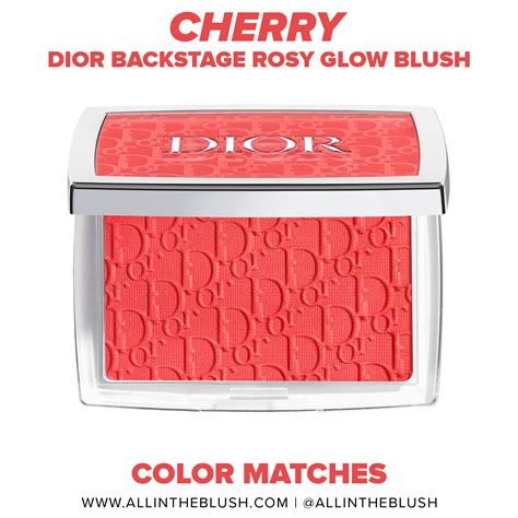 hush dupe for dior backstage eyeshadow|dior backstage dupes.